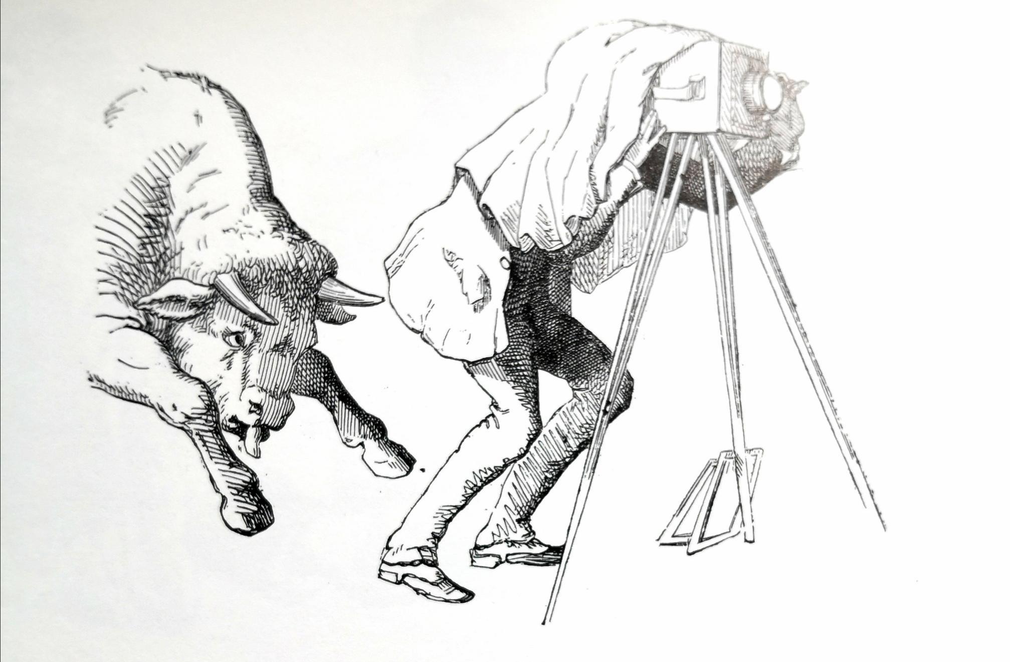 Gravure Le taureau et le photographe - illustration photographique XIXe siècle